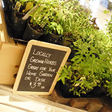 Locally Grown